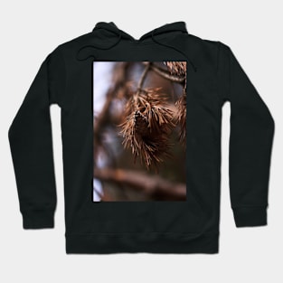 Pine Cone Hoodie